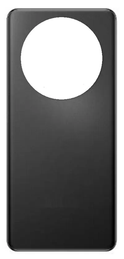 Back Panel Cover for Oppo A2 Pro - Black