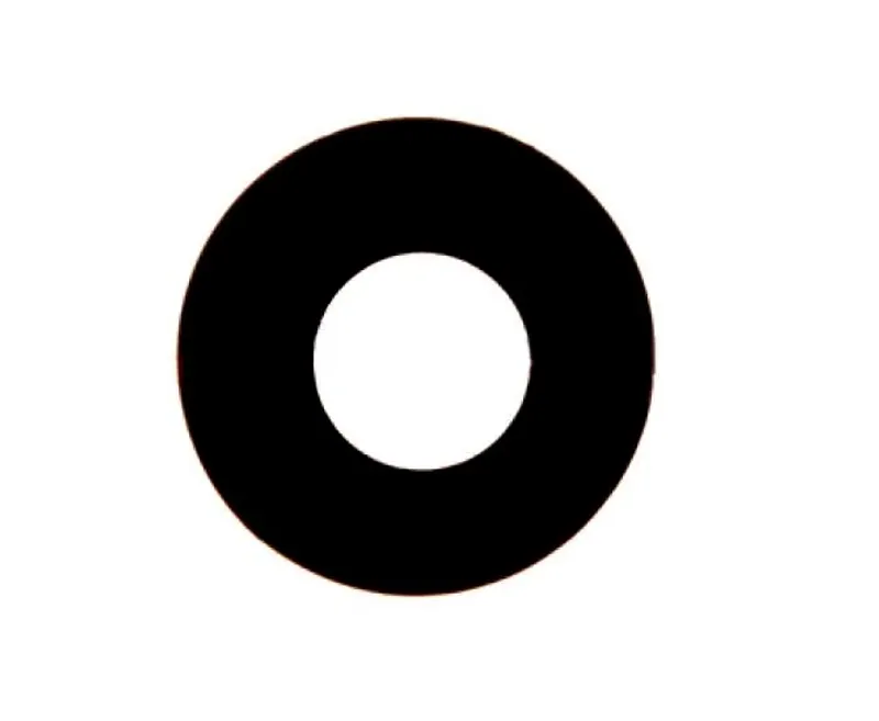 Camera Lens for Micromax Canvas Fire 4G Plus Q412 Grey — image 1