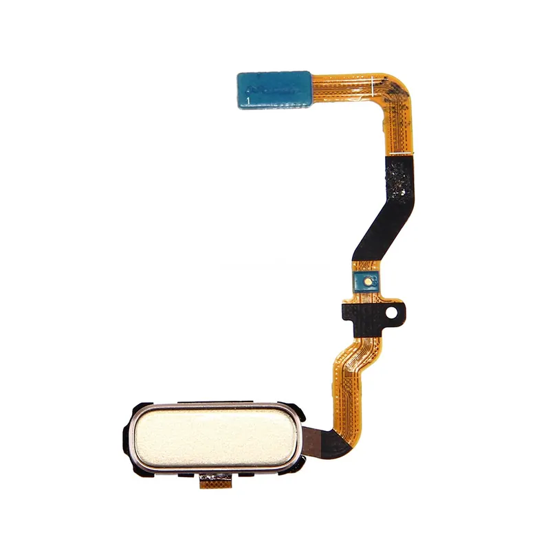 For Galaxy S7 / G930 Home Button Flex Cable(Gold) — image 1